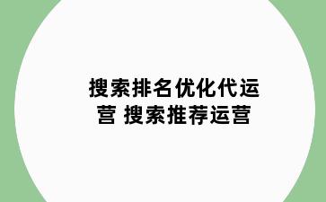搜索排名优化代运营 搜索推荐运营